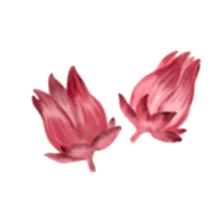 レモングラス